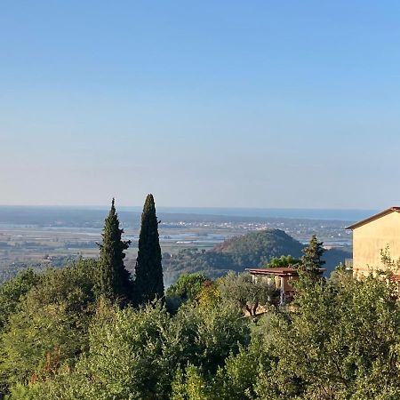 La Casina Delle Rondini Guest House Corsanico-Bargecchia Luaran gambar