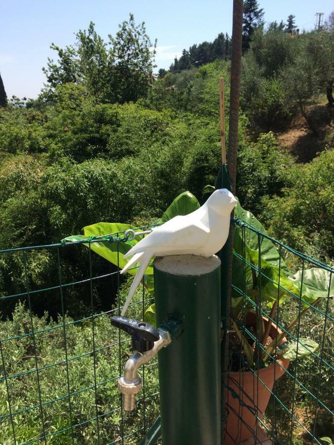 La Casina Delle Rondini Guest House Corsanico-Bargecchia Luaran gambar