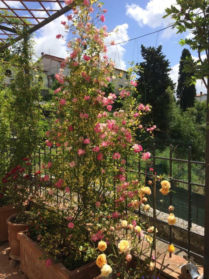 La Casina Delle Rondini Guest House Corsanico-Bargecchia Luaran gambar