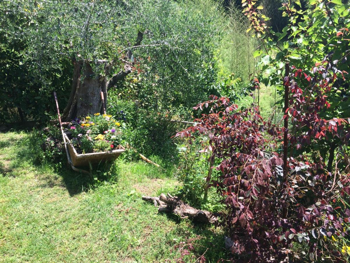 La Casina Delle Rondini Guest House Corsanico-Bargecchia Luaran gambar